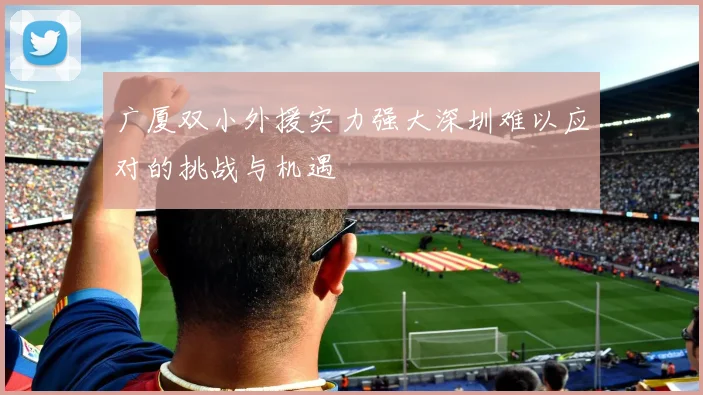 广厦双小外援实力强大深圳难以应对的挑战与机遇